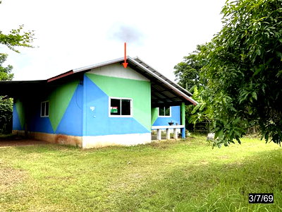 บ้านเดี่ยว ขอนแก่น : บ้านเดี่ยว 171 ตร.วา สีชมพู ขอนแก่น 1.2M