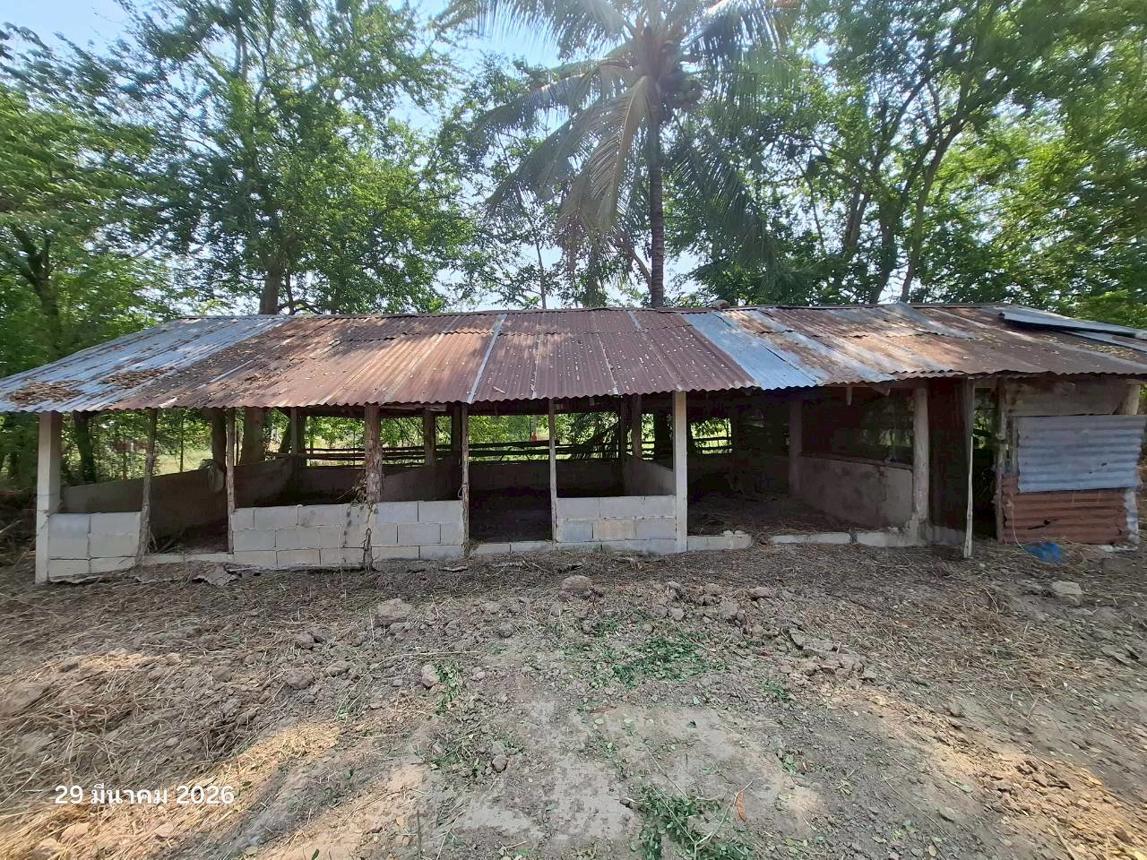 รูป บ้านเดี่ยว 6918 ตร.วา บึงสามัคคี กำแพงเพชร 11.1M - รูปที่ 101/107