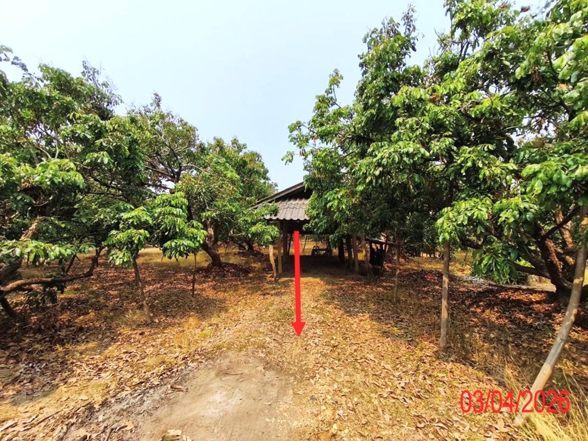 รูป ที่ดินว่างเปล่า 1038 ตร.วา เวียงหนองล่อง ลำพูน 1.2M - รูปที่ 12/17