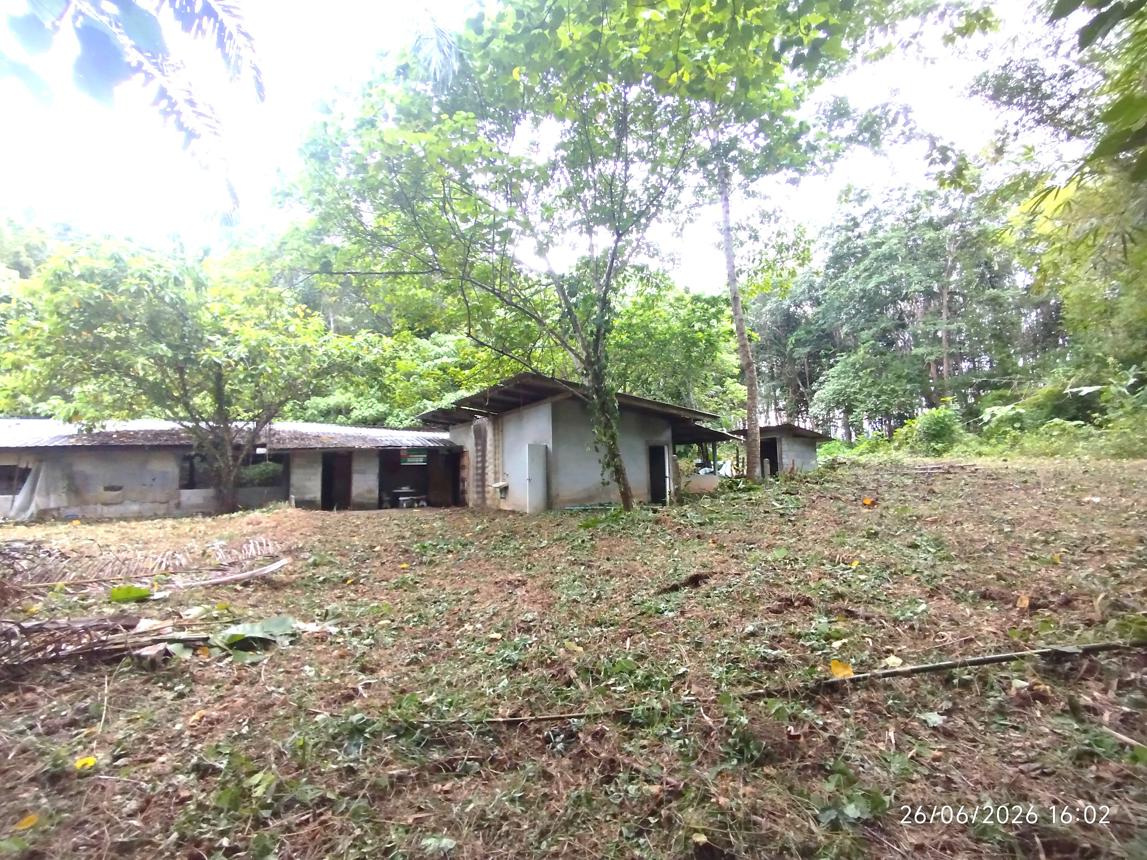 รูป บ้านเดี่ยว 4455.3 ตร.วา ตะกั่วทุ่ง พังงา 4.4M - รูปที่ 18/37