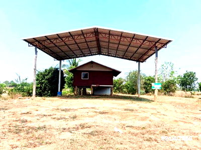 Houses for sale : HOME 1600 Sq.w. Loeng Nok Tha Yasothon for 4.6M