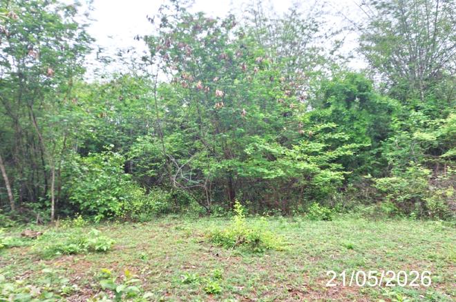 รูป ที่ดินว่างเปล่า 110.9 ตร.วา เมืองลำปาง ลำปาง 208,000 - รูปที่ 6/15