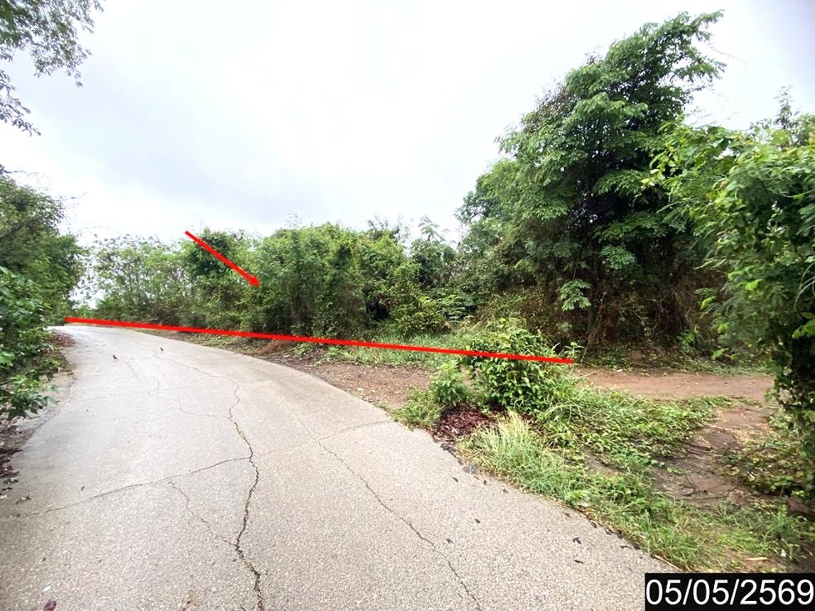 picture LAND 18631 Sq.w. Na Duang Loei for 5.5M - 9/17