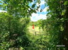 listing thumbnail image 8
