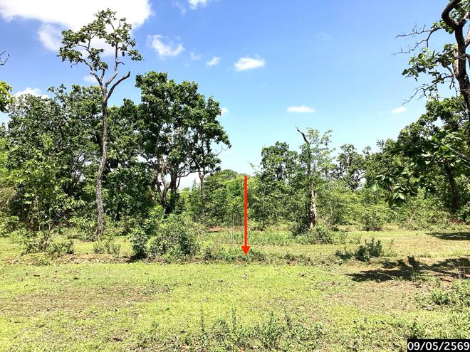 รูป ที่ดินว่างเปล่า 12389 ตร.วา กุสุมาลย์ สกลนคร 7.7M - รูปที่ 5/25