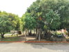 listing thumbnail image 19