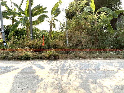 ขายที่ดิน : ที่ดินว่างเปล่า 740 ตร.วา สามชัย กาฬสินธุ์ 717,000