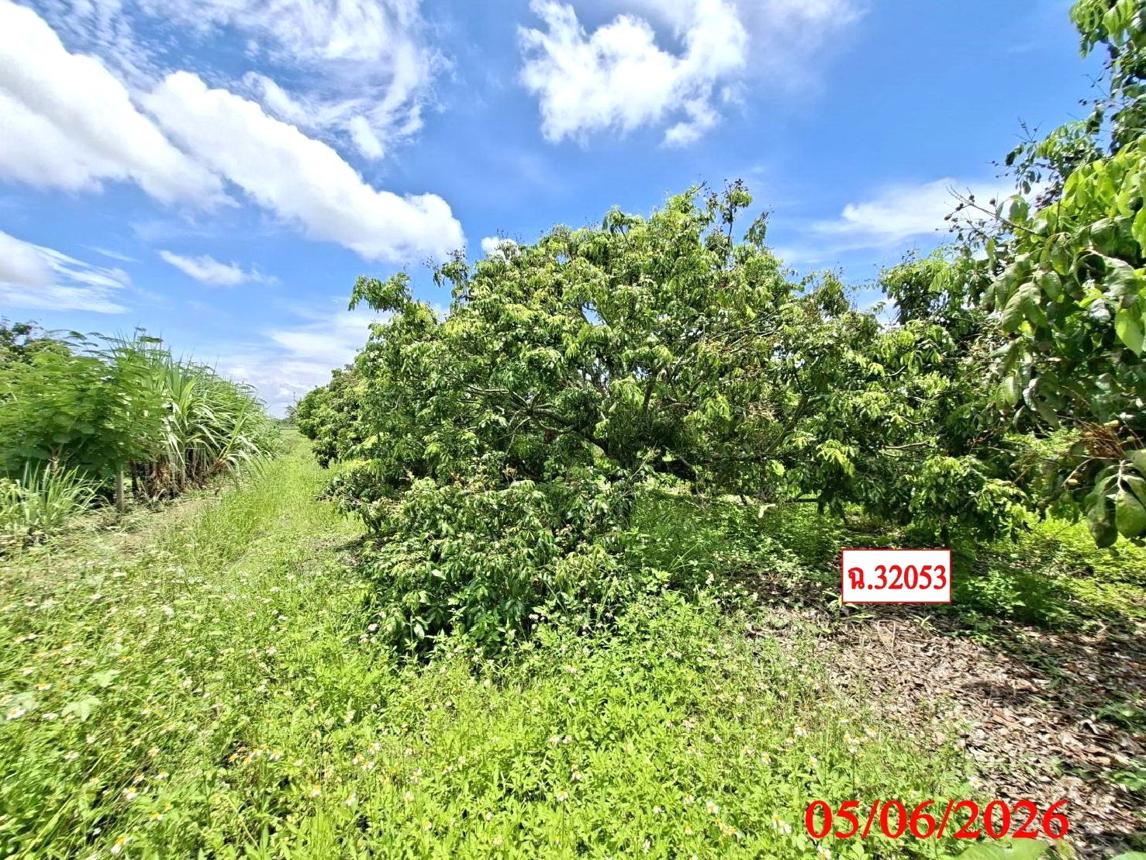 รูป บ้านเดี่ยว 373 ตร.วา สันป่าตอง เชียงใหม่ 1.7M - รูปที่ 19/23