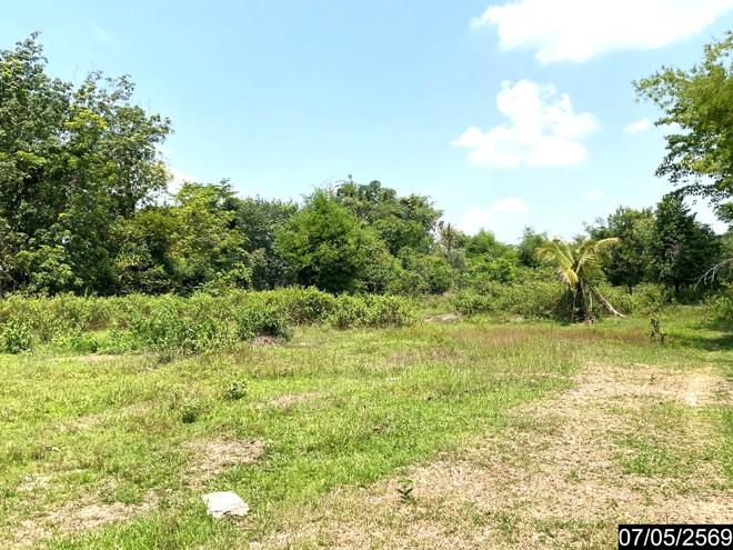 รูป ที่ดินว่างเปล่า 2302 ตร.วา ศรีวิไล บึงกาฬ 5.8M - รูปที่ 6/25