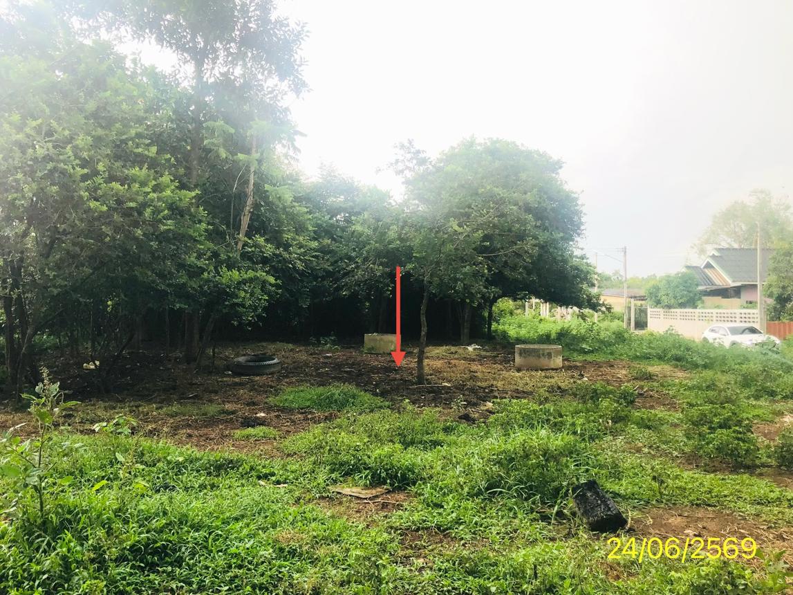 picture LAND 99.8 Sq.w. Hat Yai Songkhla for 569,000 - 13/21
