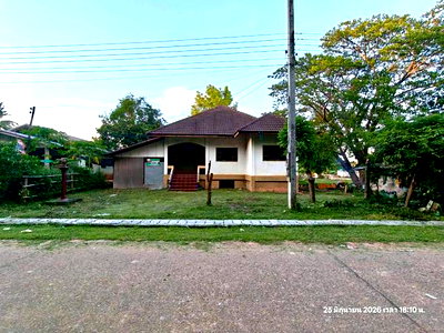 บ้านเดี่ยว อุดรธานี : บ้านเดี่ยว 378 ตร.วา กุดจับ อุดรธานี 1.6M