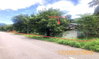 listing thumbnail image 40