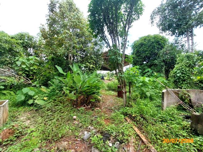 รูป โกดัง 622.6 ตร.วา เมืองสุราษฎร์ธานี สุราษฎร์ธานี 2.7M - รูปที่ 10/25