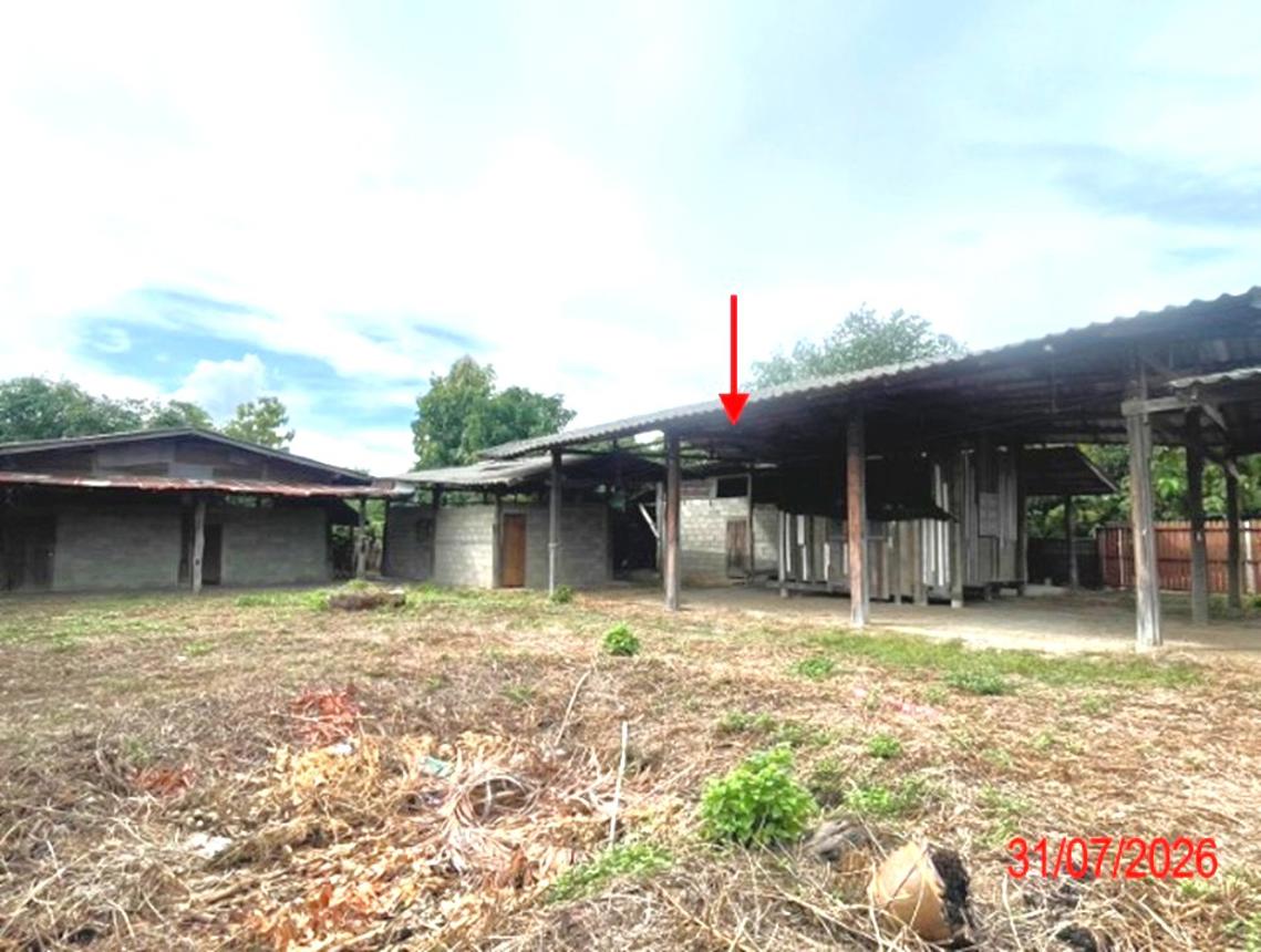 รูป บ้านเดี่ยว 752.7 ตร.วา บ้านโฮ่ง ลำพูน 1.8M - รูปที่ 31/45
