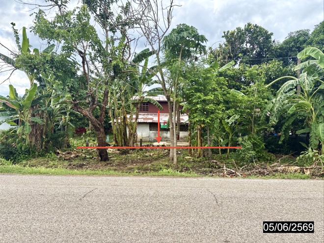 รูป บ้านเดี่ยว 537 ตร.วา สหัสขันธ์ กาฬสินธุ์ 1.4M - รูปที่ 15/33