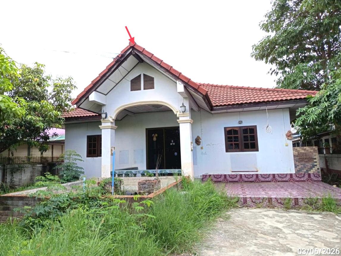 รูป บ้านเดี่ยว 100 ตร.วา ชัยวิวัฒน์ นางรอง บุรีรัมย์ 2M - รูปที่ 14/29