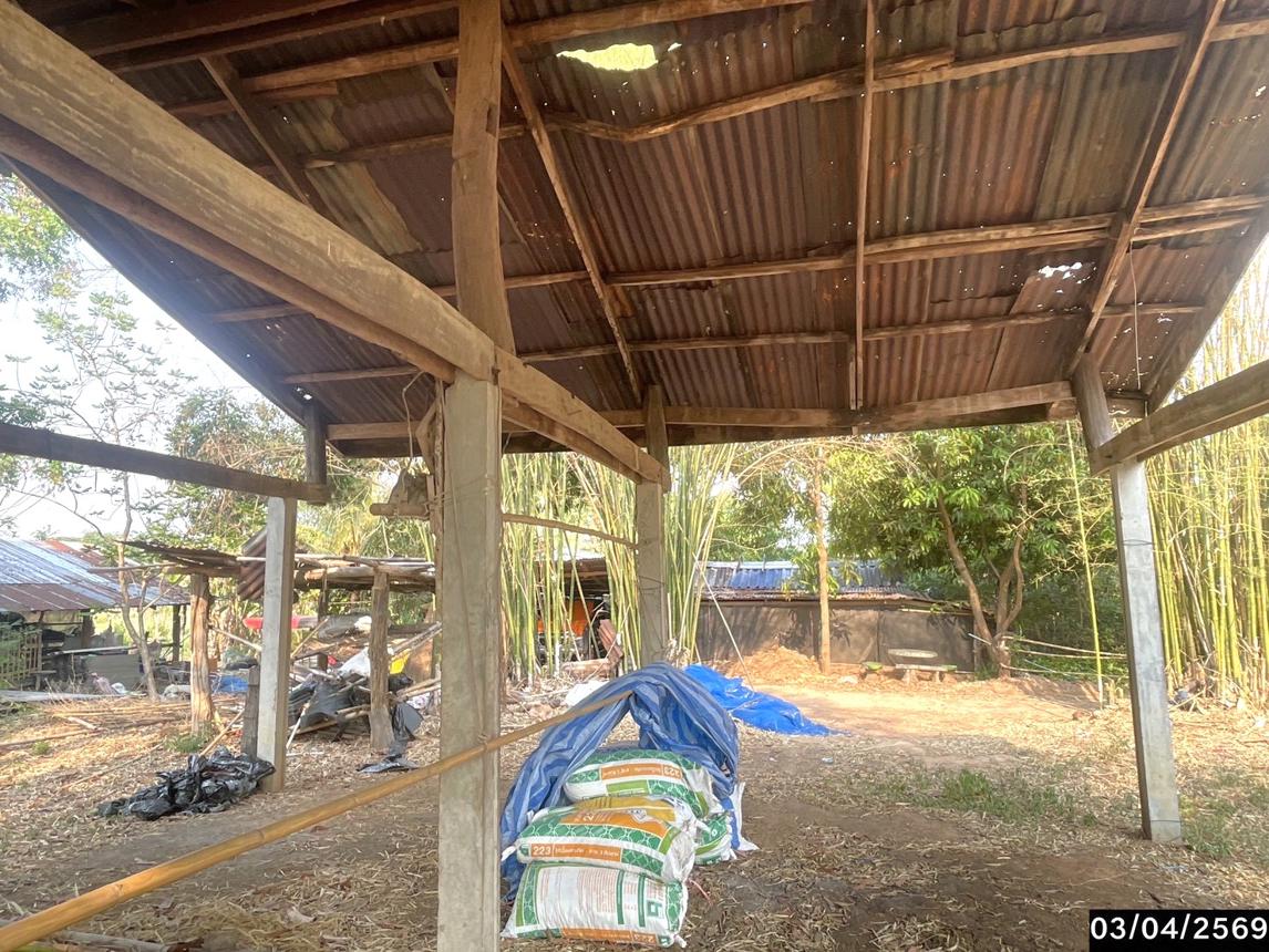 รูป เพิงอเนกประสงค์ 700 ตร.วา หนองเรือ ขอนแก่น 373,000 - รูปที่ 12/21