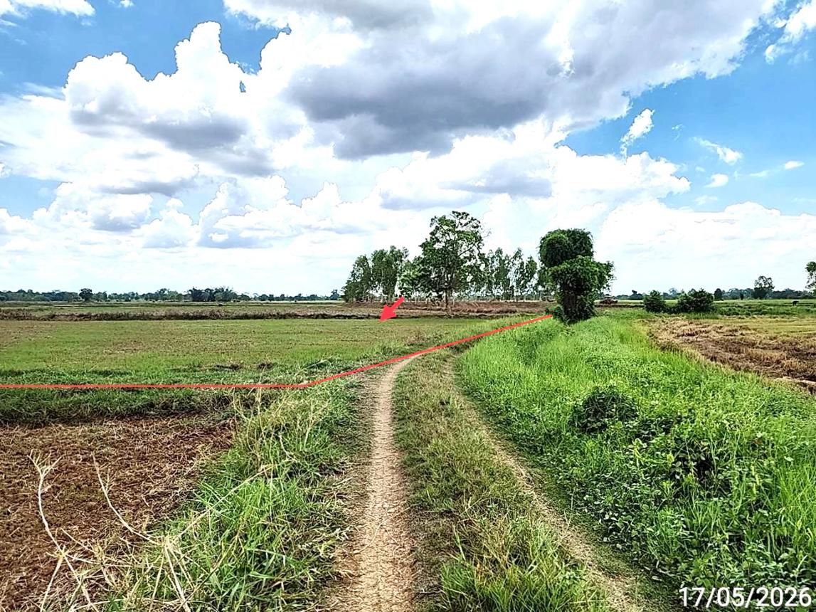 picture LAND 1522.1 Sq.w. Kosum Phisai Maha Sarakham for 419,000 - 15/25