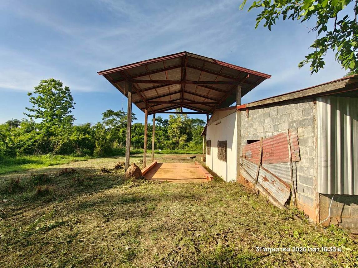 รูป บ้านเดี่ยว 5520 ตร.วา ชานุมาน อำนาจเจริญ 10.2M - รูปที่ 43/55