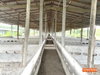 listing thumbnail image 13