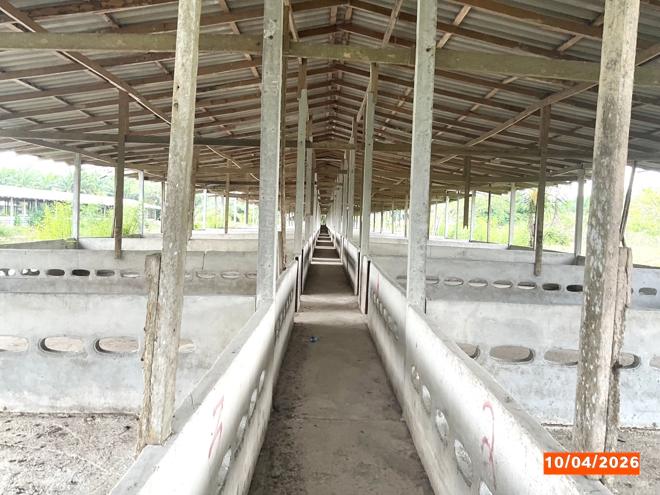 รูป ฟาร์ม 3649 ตร.วา เฉลิมพระเกียรติ นครศรีธรรมราช 8.1M - รูปที่ 14/37