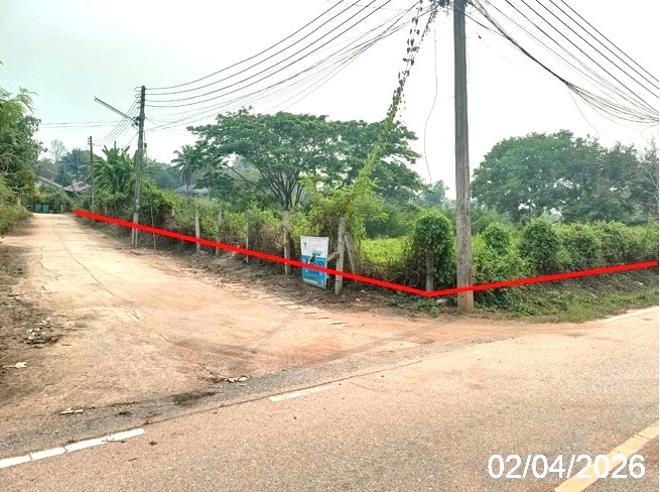 picture LAND 426.4 Sq.w. Fang Chiang Mai for 955,000 - 6/19