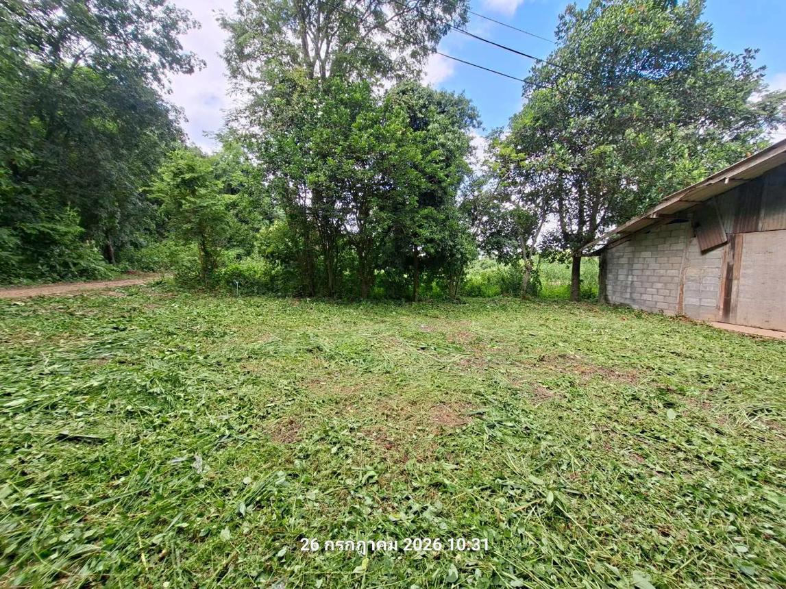 รูป บ้านเดี่ยว 200 ตร.วา เมืองเพชรบูรณ์ เพชรบูรณ์ 290,000 - รูปที่ 13/23