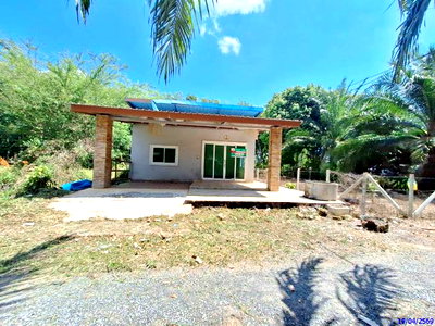 บ้านเดี่ยว ตรัง : บ้านเดี่ยว 56.4 ตร.วา วังวิเศษ ตรัง 1.3M