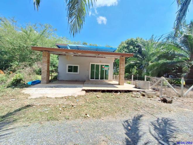 รูป บ้านเดี่ยว 56.4 ตร.วา วังวิเศษ ตรัง 1.3M - รูปที่ 1/27
