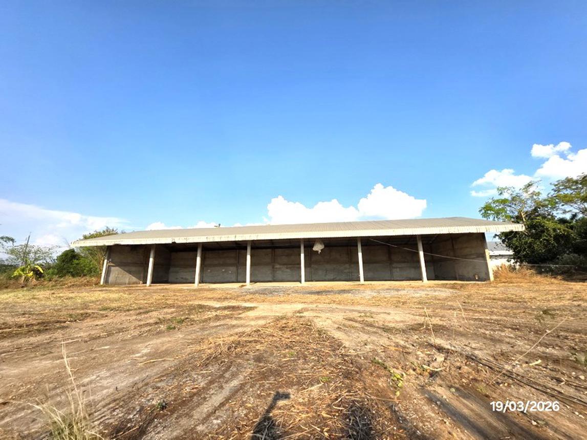 picture FACTORY 45163 Sq.w. Tha Li Loei for 169.1M - 33/39