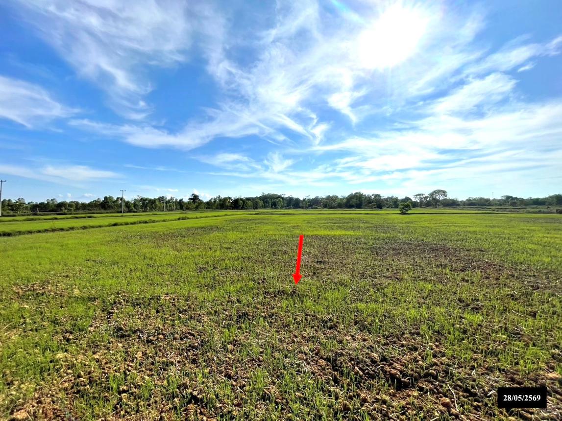 picture LAND 6771 Sq.w. Renu Nakhon Nakhon Phanom for 2.7M - 13/17