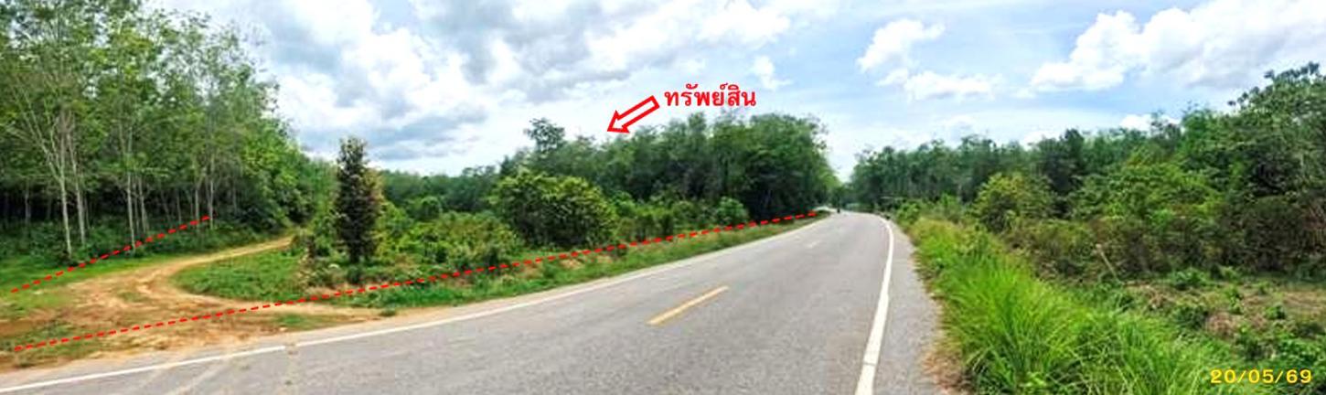 รูป สวนเกษตร 1539 ตร.วา แม่ลาน ปัตตานี 1.4M - รูปที่ 13/23