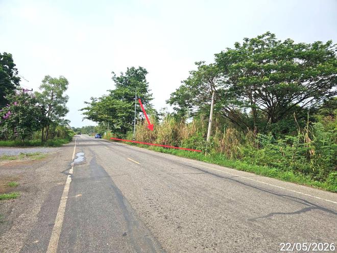 รูป ที่ดินว่างเปล่า 886 ตร.วา ตะพานหิน พิจิตร 1.4M - รูปที่ 4/15