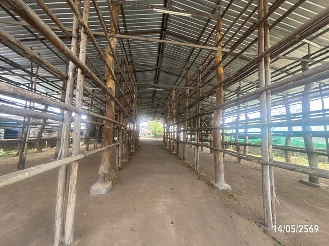 รูป เพิงอเนกประสงค์ 370 ตร.วา ยางชุมน้อย ศรีสะเกษ 1.5M - รูปที่ 13/29