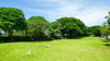 listing thumbnail image 20