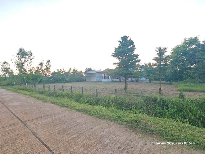 รูป บ้านเดี่ยว 800 ตร.วา เจริญศิลป์ สกลนคร 6.6M - รูปที่ 23/51