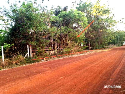 Houses for sale Sakon Nakhon : HOME 2354 Sq.w. Muang Sakon Nakhon Sakon Nakhon for 2.1M