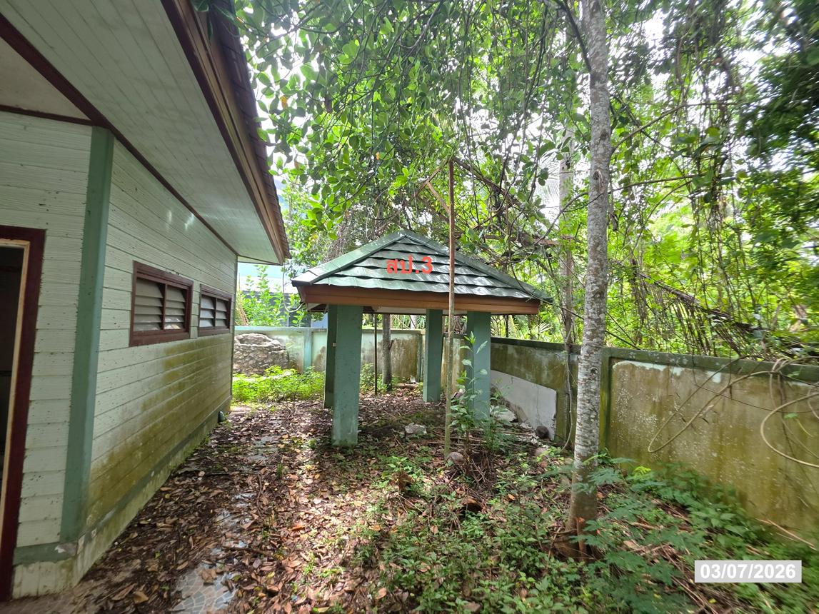 รูป บ้านเดี่ยว 198 ตร.วา เมืองสุราษฎร์ธานี สุราษฎร์ธานี 4.6M - รูปที่ 39/45