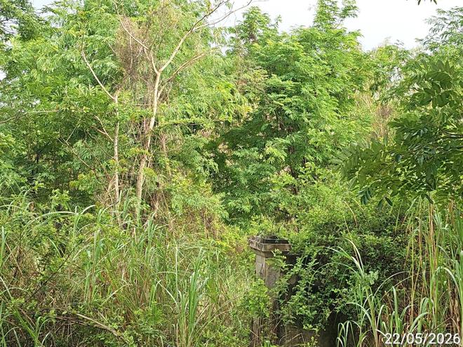 รูป ที่ดินว่างเปล่า 886 ตร.วา ตะพานหิน พิจิตร 1.4M - รูปที่ 6/15