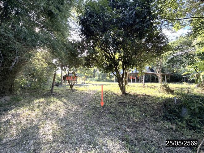 รูป บ้านเดี่ยว 1049 ตร.วา ยางตลาด กาฬสินธุ์ 1.1M - รูปที่ 7/21