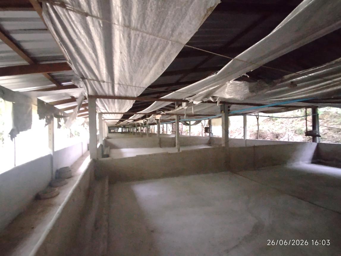 รูป บ้านเดี่ยว 4455.3 ตร.วา ตะกั่วทุ่ง พังงา 4.4M - รูปที่ 30/37