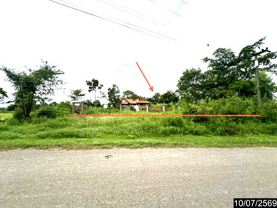 Houses for sale Senangkhanikhom Amnat Charoen : HOME 400 Sq.w. Senangkhanikhom Amnat Charoen for 1.9M