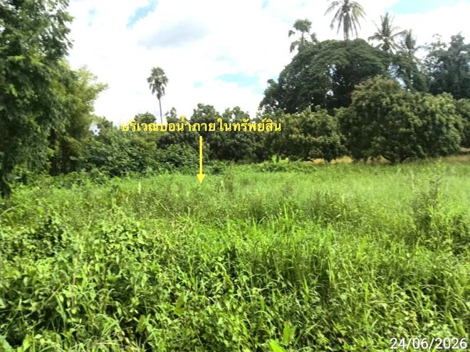 รูป ที่ดินว่างเปล่า 2515 ตร.วา จอมทอง เชียงใหม่ 4.2M - รูปที่ 6/21