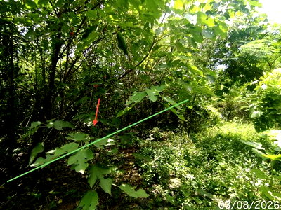 ขายที่ดิน : ที่ดินว่างเปล่า 850 ตร.วา บ้านยุพนัย แก่งคอย สระบุรี 1.5M