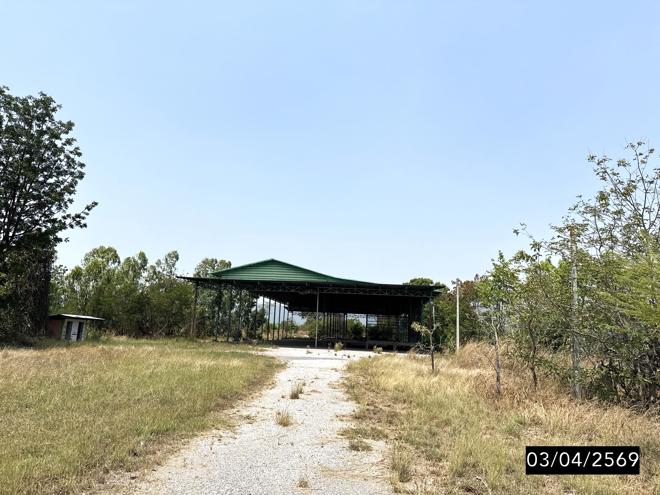 รูป บ้านเดี่ยว 2400 ตร.วา ภูเขียว ชัยภูมิ 5.9M - รูปที่ 17/37