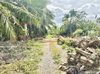 listing thumbnail image 11