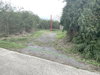 listing thumbnail image 17