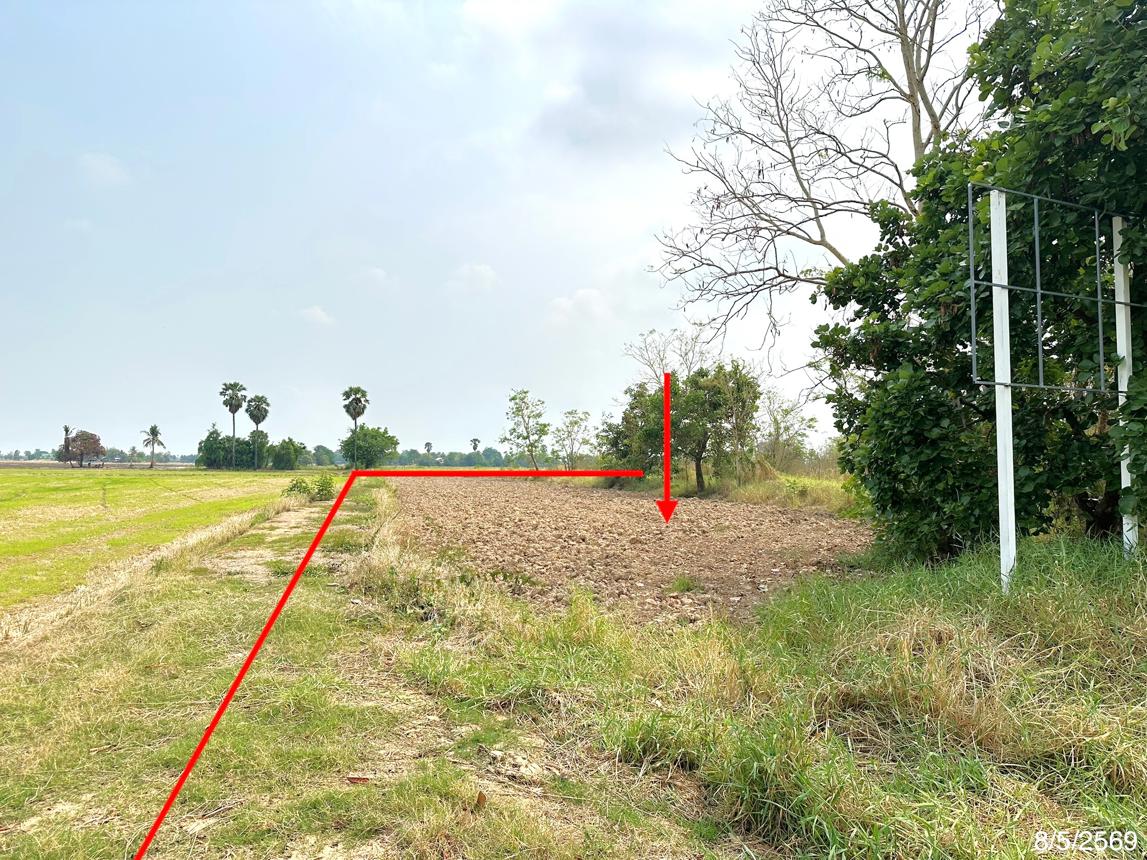 picture LAND 5639 Sq.w. Muang Phitsanulok Phitsanulok for 56.9M - 12/17
