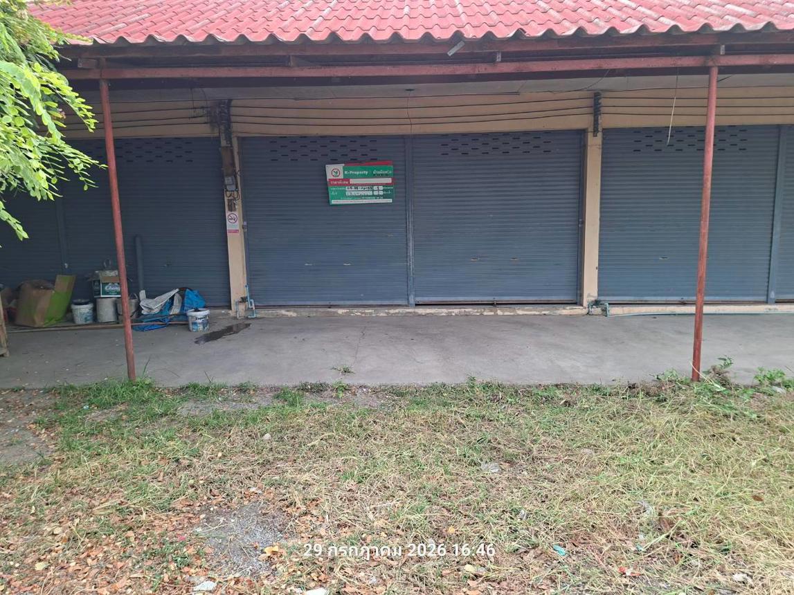 picture SHOP HOUSE 23.4 Sq.w. Samko Angthong for 409,000 - 12/23