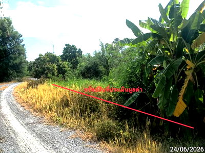 ที่ดิน จอมทอง เชียงใหม่ : ที่ดินว่างเปล่า 2515 ตร.วา จอมทอง เชียงใหม่ 4.2M
